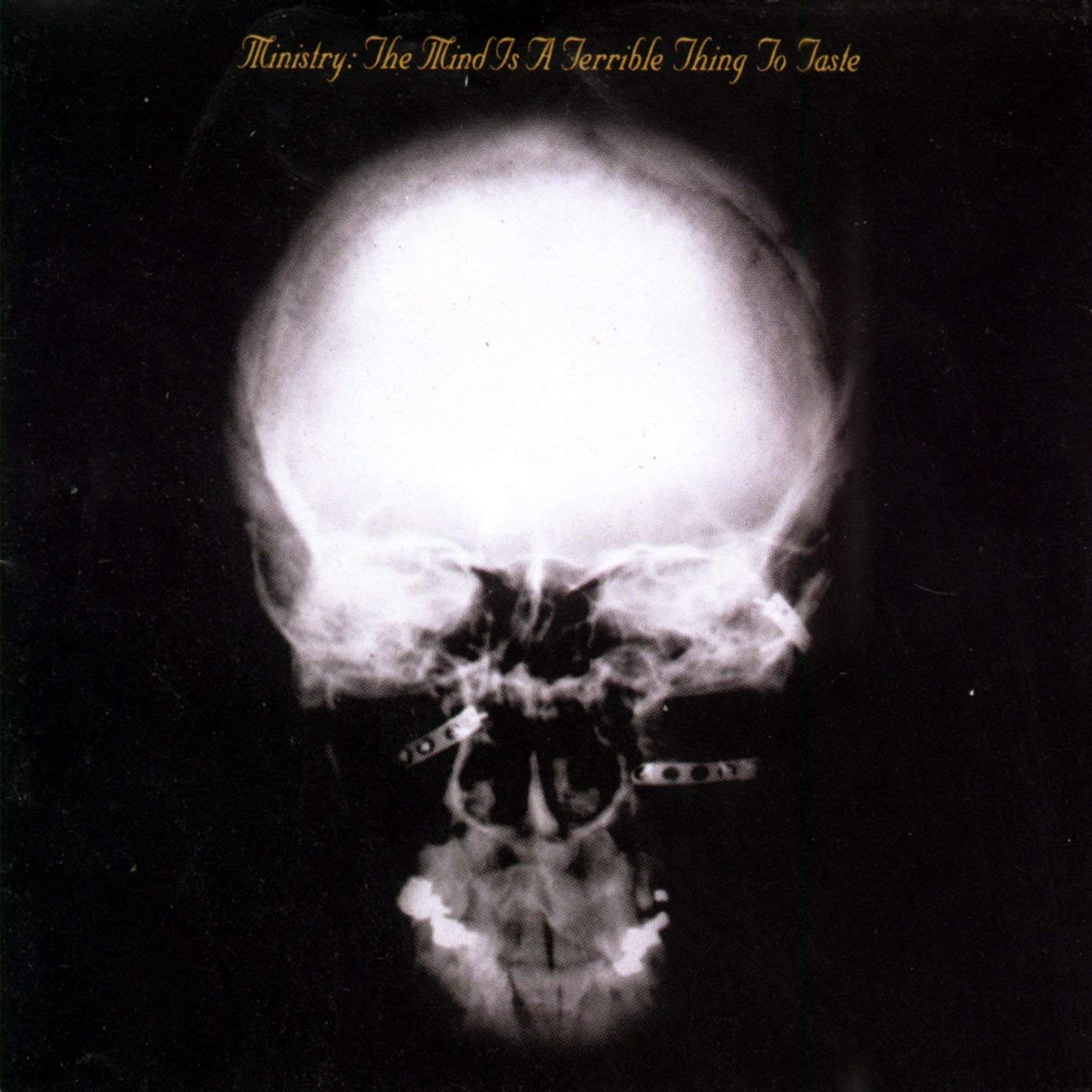MINISTY「The Mind Is A Terrible Thing 〜」 Ministry - 